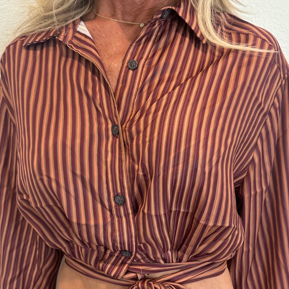 Free People Rust and Black Striped Button-Down Shirt